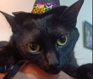 Jiji